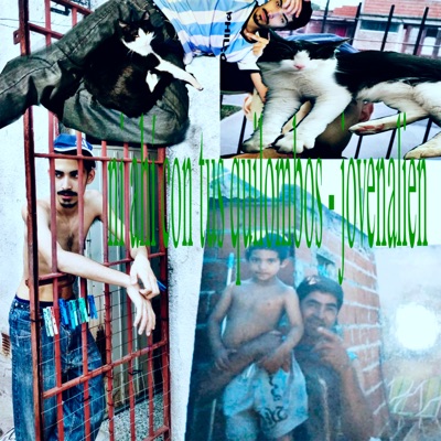 Ni Ahí Con Tus Quilombos - Single