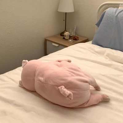 Privacy Problems - Single