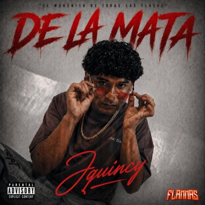 SE TOCA (JQUINCY) (feat. FLAMMAS) - Single