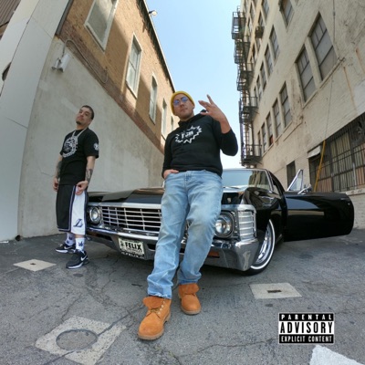 Do What You Gotta Do (feat. Gat Wesson, Pro P & Hope Is Music) - Single