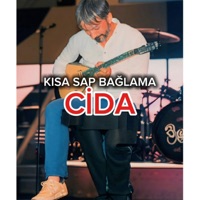 VEYSİ AYKAL CİDA (Radio Edit) - Single - Veysi AYKAL