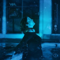 THE SIMPLE TRUTH - Single - VEIL