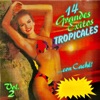 14 Grandes Éxitos Tropicales... Con Cache, Vol.2