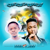 December Violin - Single - TopDawg SA & Msta Villi