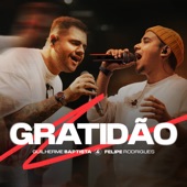 Gratidão (Ao Vivo) artwork