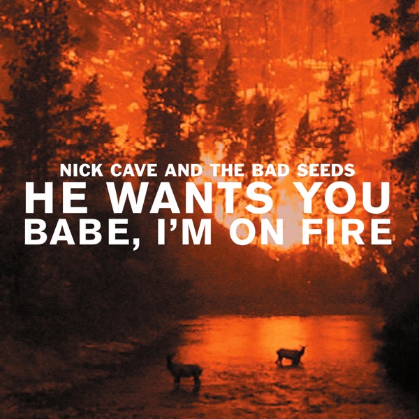 He Wants You / Babe, I'm on Fire - EP