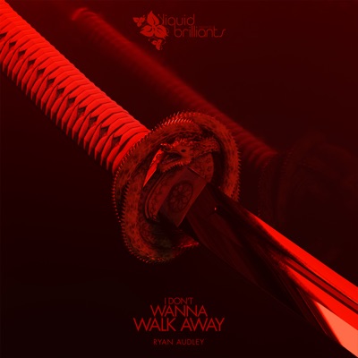 I Don't Wanna Walk Away (ft. Kandwoo) - Single