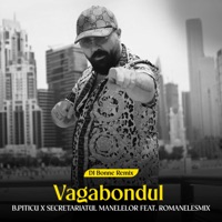 Vagabondul (feat. RoMANELEsMIX) [Dj Bonne Remix] - Single - B.Piticu & Secretariatul Manelelor