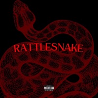 Rattlesnake - Single - Cookie the HBIC & Touchmoney Cease
