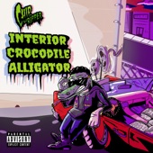 Interior Crocodile Alligator Freestyle artwork