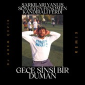 Fenomen Kandirali Ferdi / Gece Sinsi Bir Duman artwork