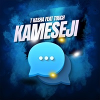 Kameseji (feat. Touch) - Single - T Kasha