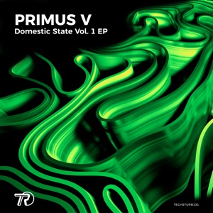 Domestic State Vol. 1 Ep - Single