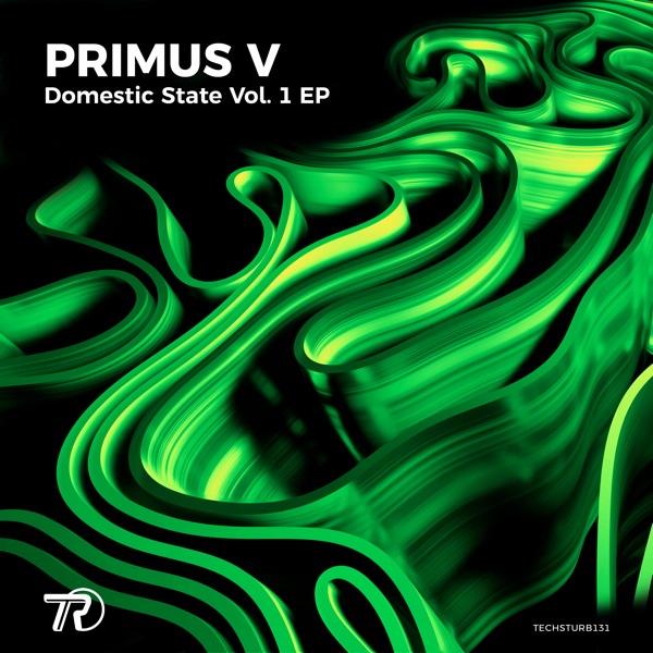 Domestic State Vol. 1 Ep - Single