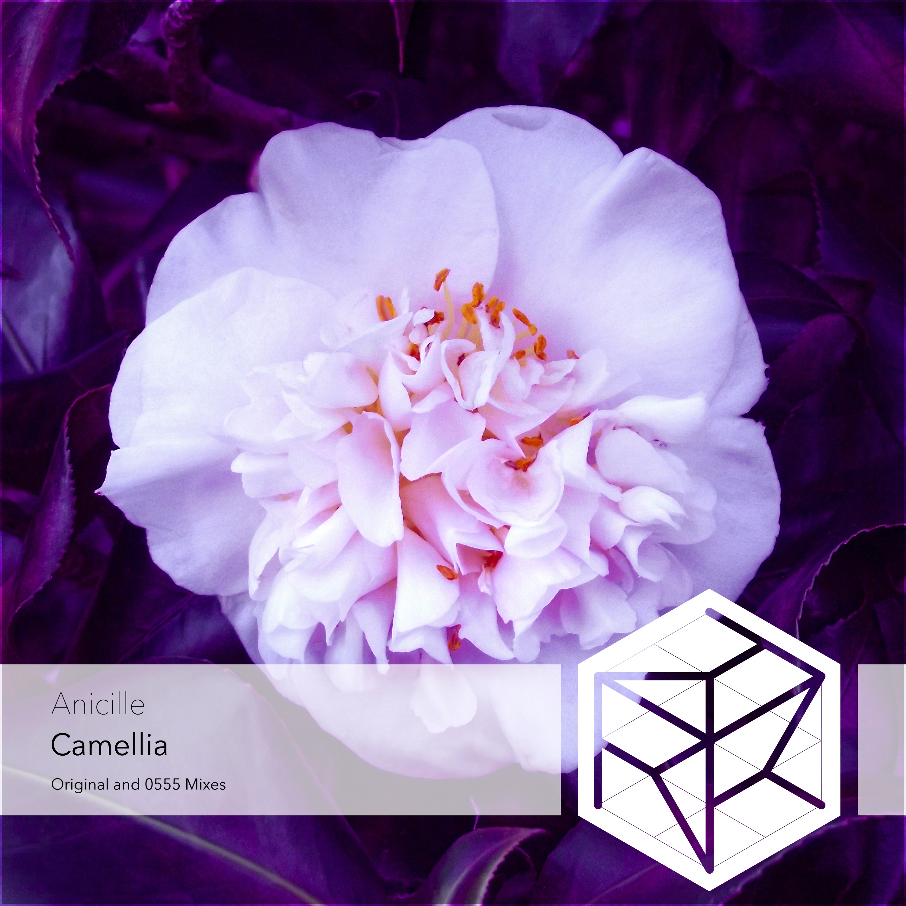 Camellia (0555 Remix) - Single
