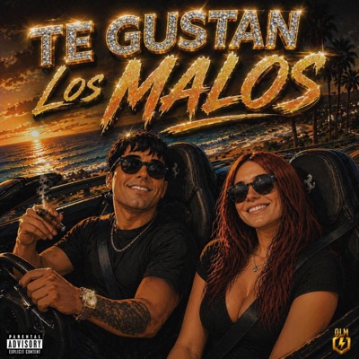 Te Gustan Los Malos - Single