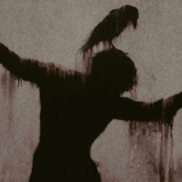 rotten - Single - h8you