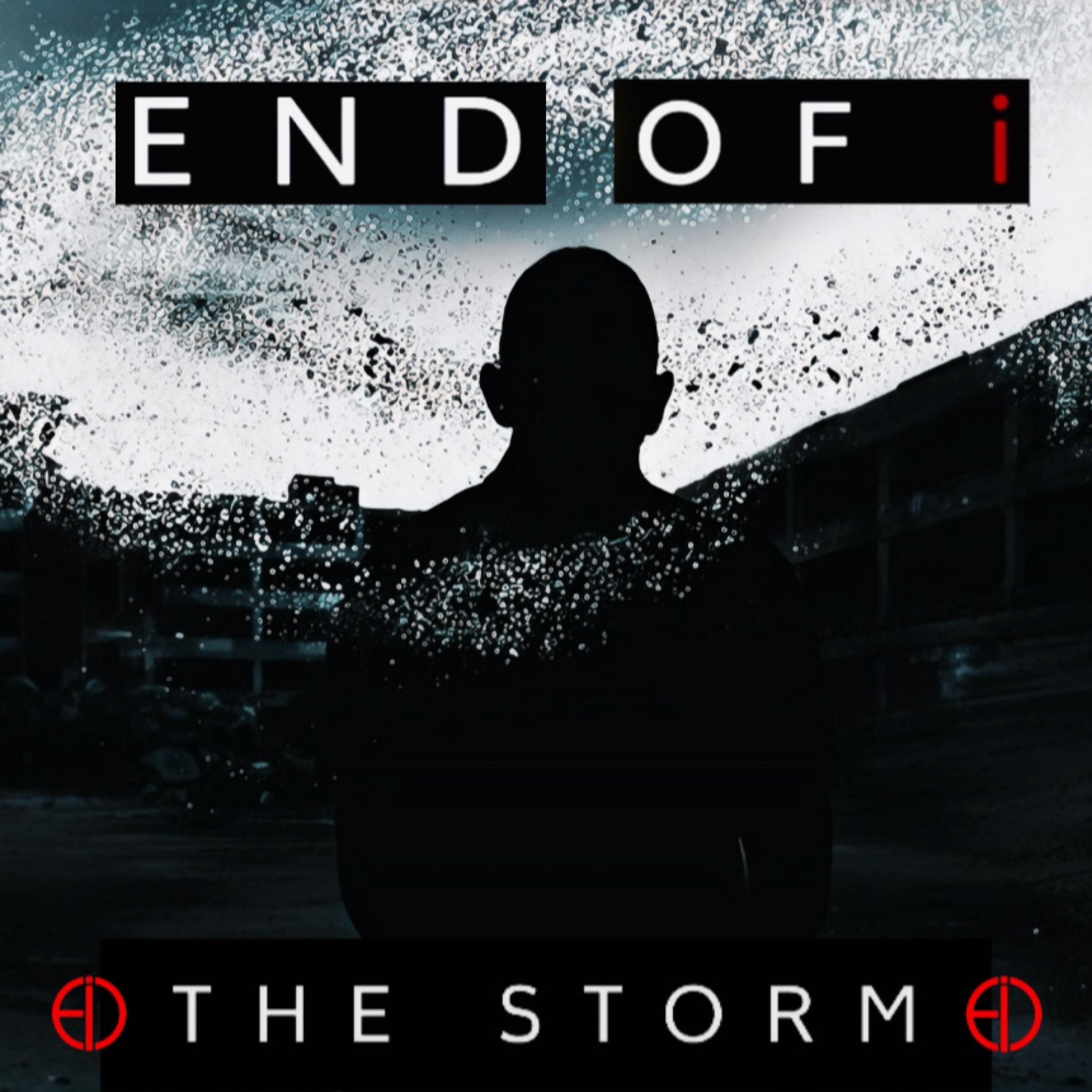 The Storm - Single