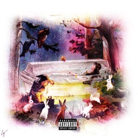 GEEKING BEAUTY Nate X