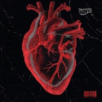 Played Me - Single - Wavee