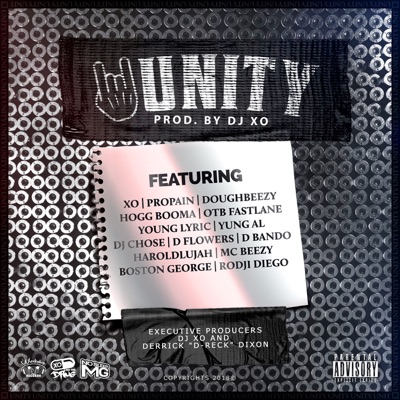 Unity, Vol. 1
