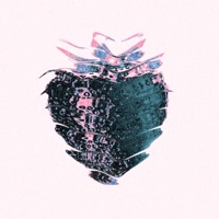 Berry Seeds - Single - Kid Mozes