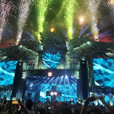 Without You - Single