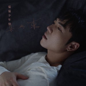 偏偏少年情 - Single
