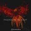 Phoenix in the Night