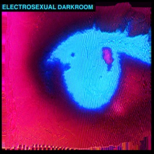Darkroom - Single