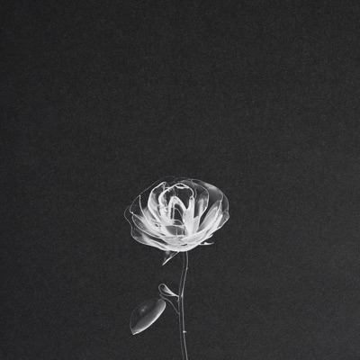Nothing's Forever - Single