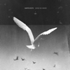 Just Sine Waves - Martin Roth