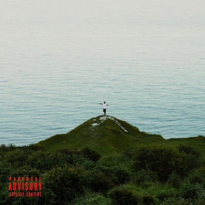 MONEY TREES - Single