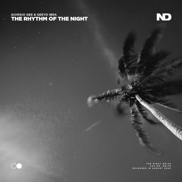 The Rhythm of the Night - Single