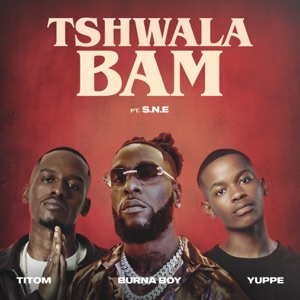 Tshwala Bam (feat. S.N.E) [Remix]