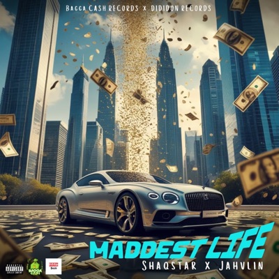 Maddest Life - Single