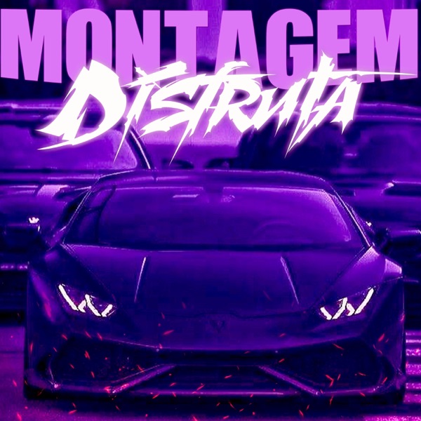 MONTAGEM DISFRUTA - Single