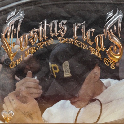 Cositas Ricas (feat. Bidi 63 & Deorozco) - Single