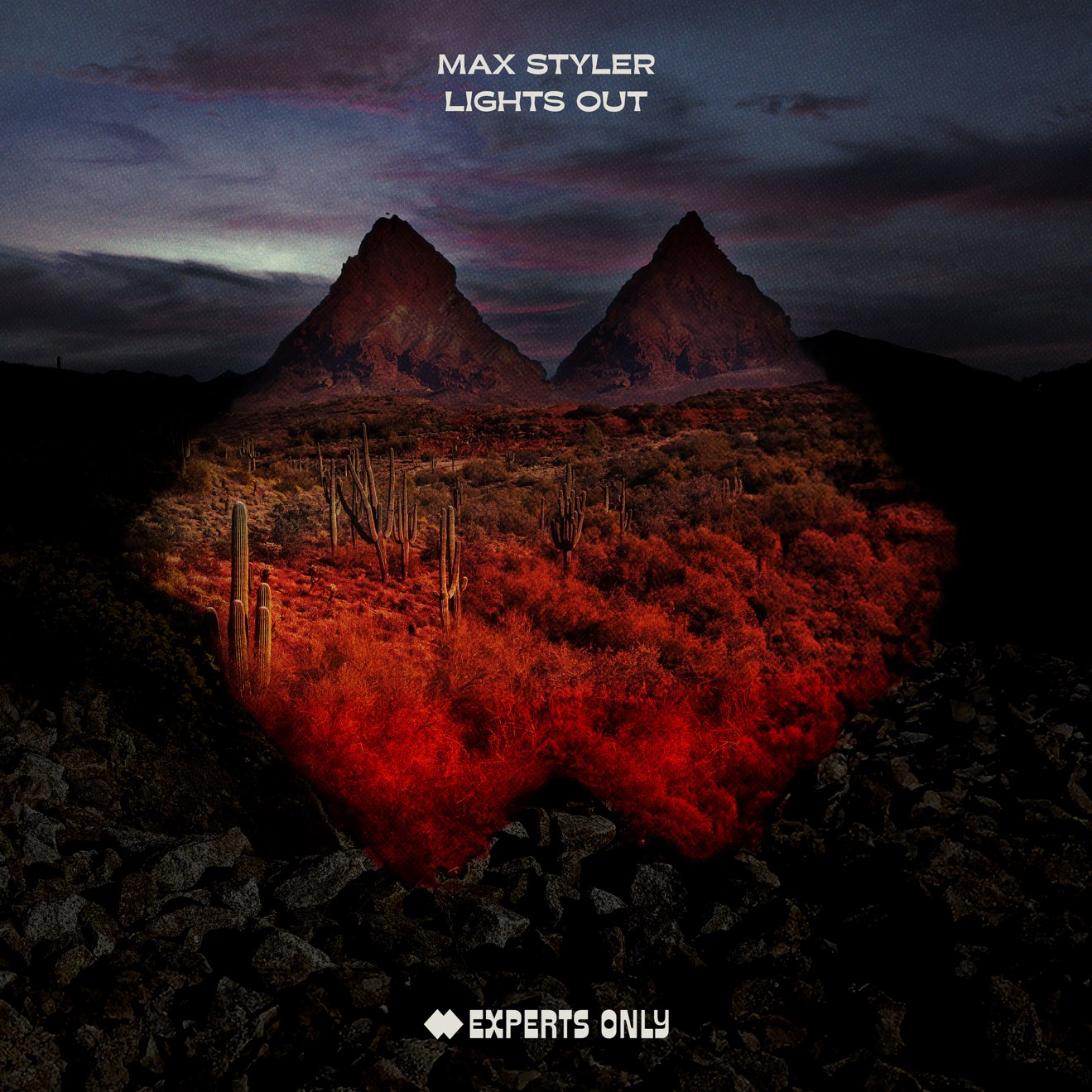 Max Styler – Lights Out – Single (2024) [iTunes Match M4A]