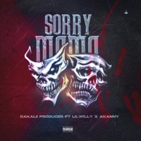 SORRY MAMA (feat. Akanni & Lil Willy Shawty) - Single - Dakalii Producer