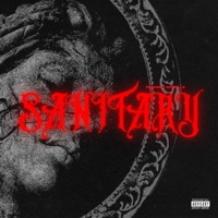 Sanitary (feat. XoTrillz) - Single - RISK206
