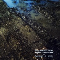 Picnic ad Rockland (feat. Worm & Shimmer) - Single - Master Punish