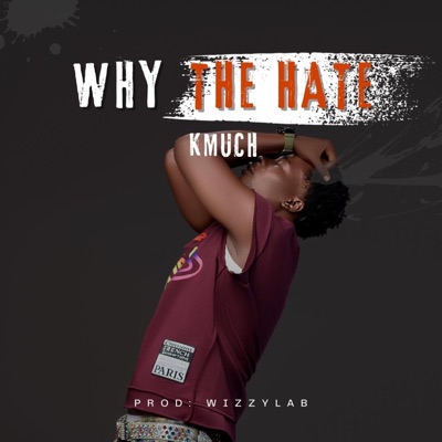 Why The Hate - Single