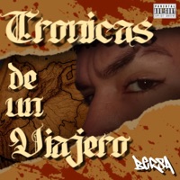 Cronicas de un Viajero - AKA Bersa