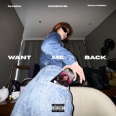 Want Me Back artwork