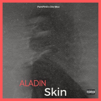 Aladin Skin (feat. Dio moz) - Single