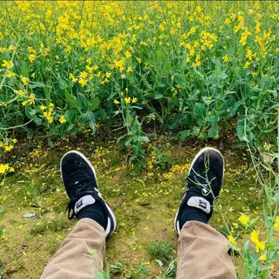 Hör dir „Summer - Single“ von Lo-Fi Loaf an