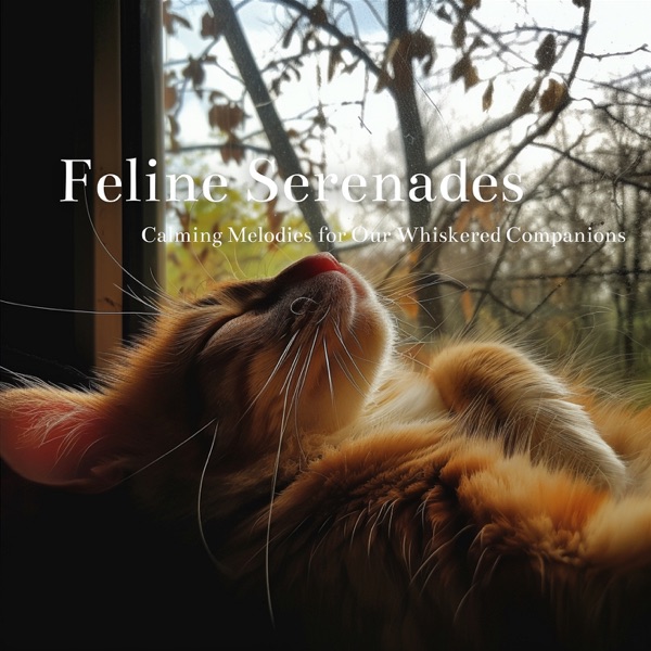 Feline Serenades: Calming Melodies for Our Whiskered Companions