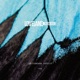 Vortex EP EP