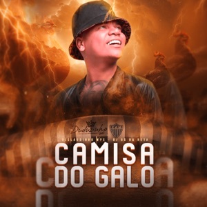 Camisa do Galo